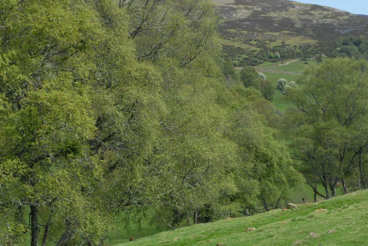 Howe Of Torbeg Campsite *